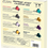 Прев'ю: Friends Nespresso Compatible Capsule Limited Edition Coffee Advent Calendar