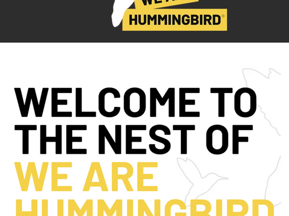 Decent Music Partners with We Are Hummingbird to Promote Mental Health Awareness