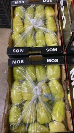 zvAJTcKGHq2po3XCn_YFxoz5gUVFYQlGcF_Yv8pXLgA=_plaintext_638225114760622395