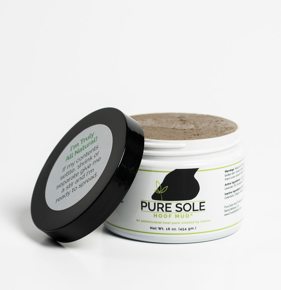 Pure Sole Hoof Mud, 16 oz. jar
