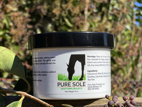 Meet Pure Sole Soothing Balm