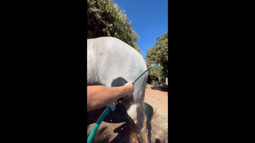 Thumbnail: Soothe and Shine Shampoo