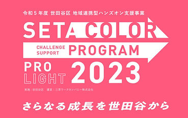 SETA COLOR PRO LIGHT 2023に飛ぶバナー