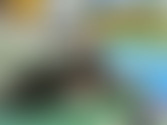 ✨もうすぐ登録200組✨