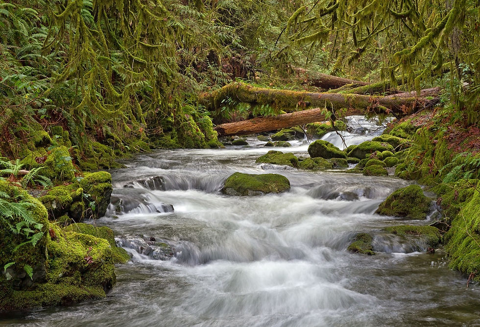 goldstream park.jpg