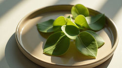 Privacy Policy-Data Collection-2