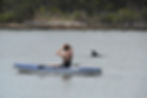 Dolphin Cove Marina Woman Kayaking Seeing Dolphin
