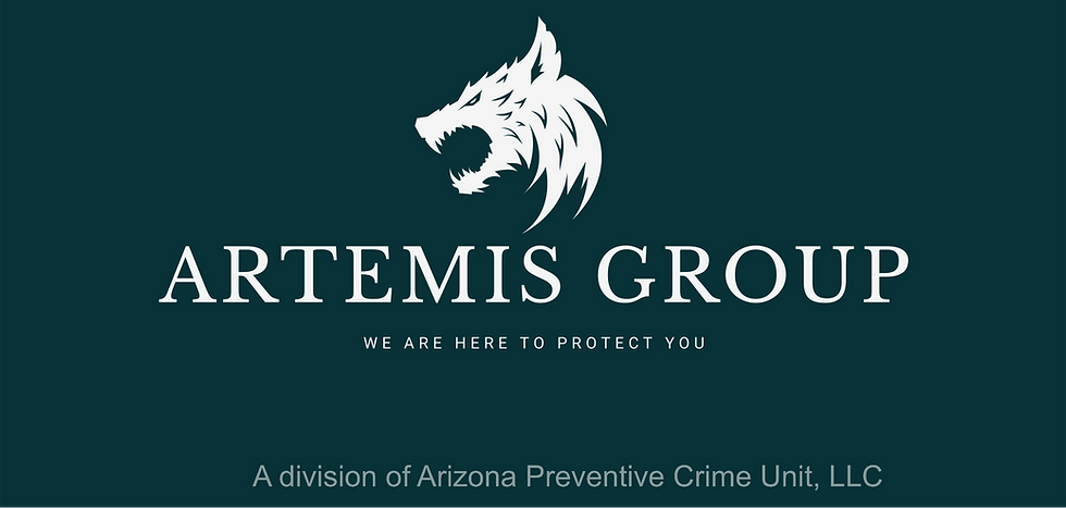 Artemis group executive protection