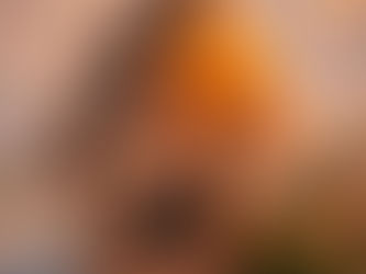 Sex on Psychedelics: Good Idea or Terrible One?