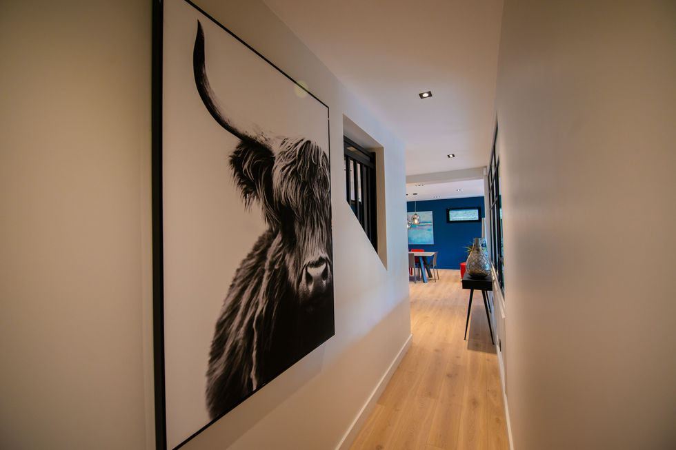 Vaires-sur-Marne-architecte interieur couloir avec deco tableau animal – 1001 Idées
