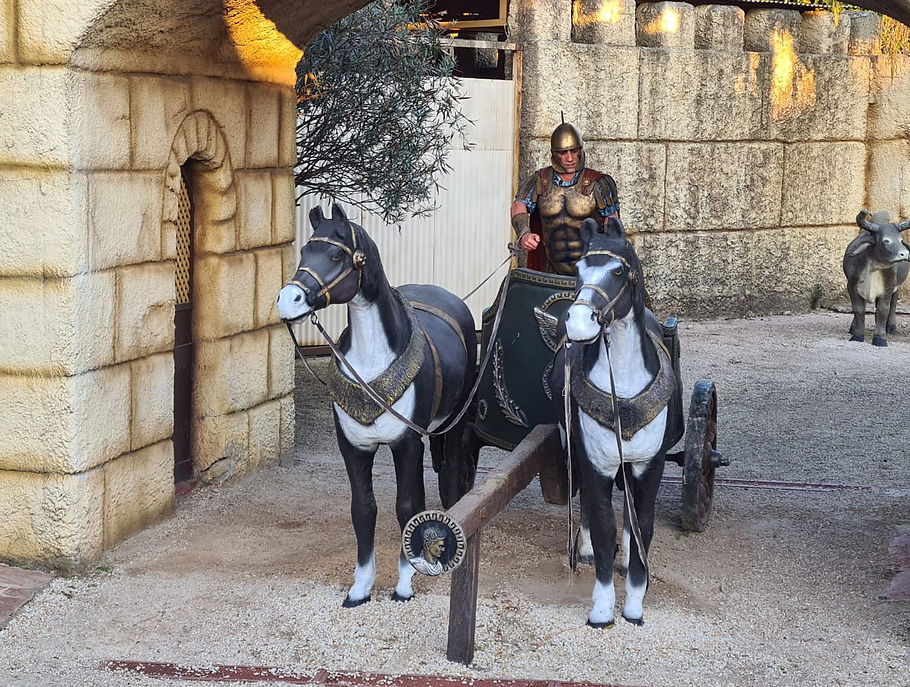 tierra-santa-1 (15).jpeg