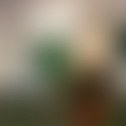 THE CREATIVE IMPACTS OF BARRY JOHNSON