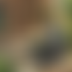 SUPPORT OUR LIBRARIES WITH A NEW CARD DESIGNED BY BARRY JOHNSON