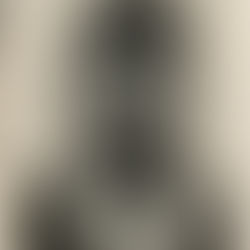 PAULETTE NARDAL: A VOICE FOR LIBERATION AND JUSTICE