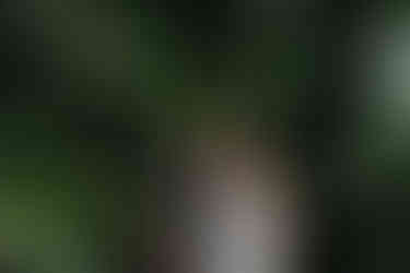 Engagement session in Rawlings Conservatory