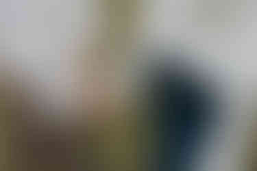 Engagement session in Rawlings Conservatory greenhouse