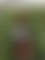 いちご狩り遠足@小山園⭐