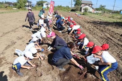 お芋掘り@古河園⭐