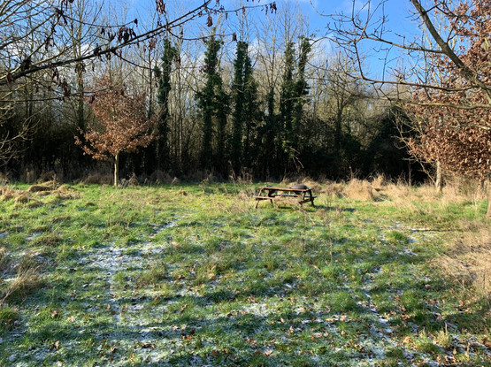 Somerset countryside