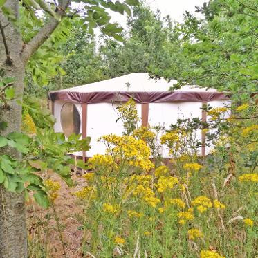 Luxury yurt accommodation at Dorothy Goes Glamping