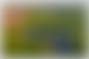 Enhancing your business sustainability: ESG and CSR strategies for success