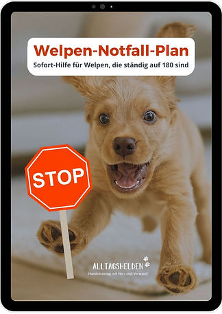 Kopie von Mockups zum Webinar Erze-2_edi