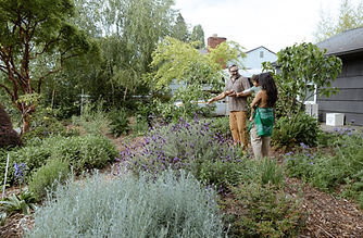 a family looks at their beautiful front yard