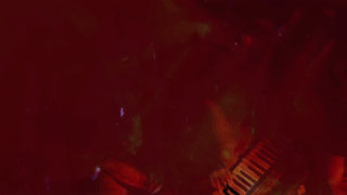 21.gif