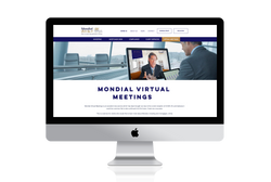 virtual meetings