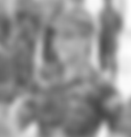 Monica Castro | The Fern 45