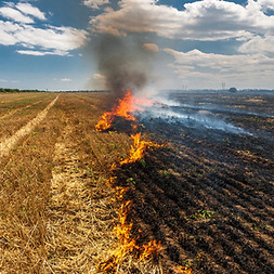 agricultural-burning.jpg