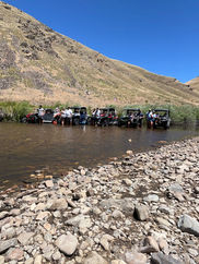 Wild Horse - King's Adventure Rentals