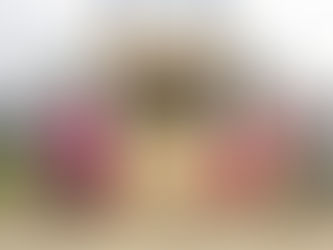 Après: The Best Of What’s New