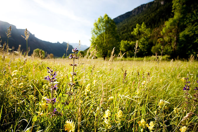 printemps à Freissinières