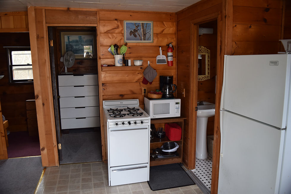 Cabin 1 Full Kitchen