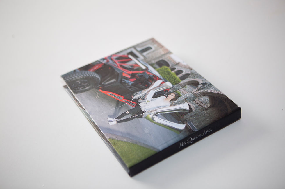 Miniatura: PhotoBook 8x20"