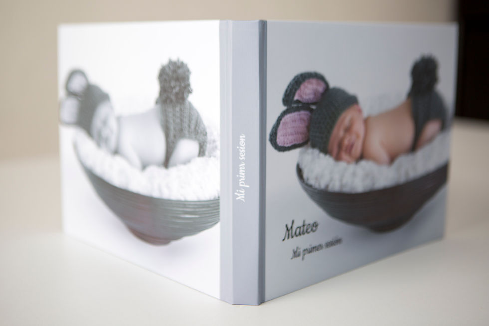 Miniatura: PhotoBook 8x20"