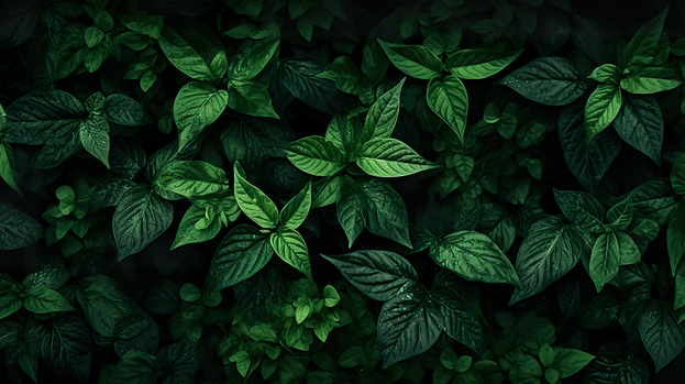 leafbackground.png