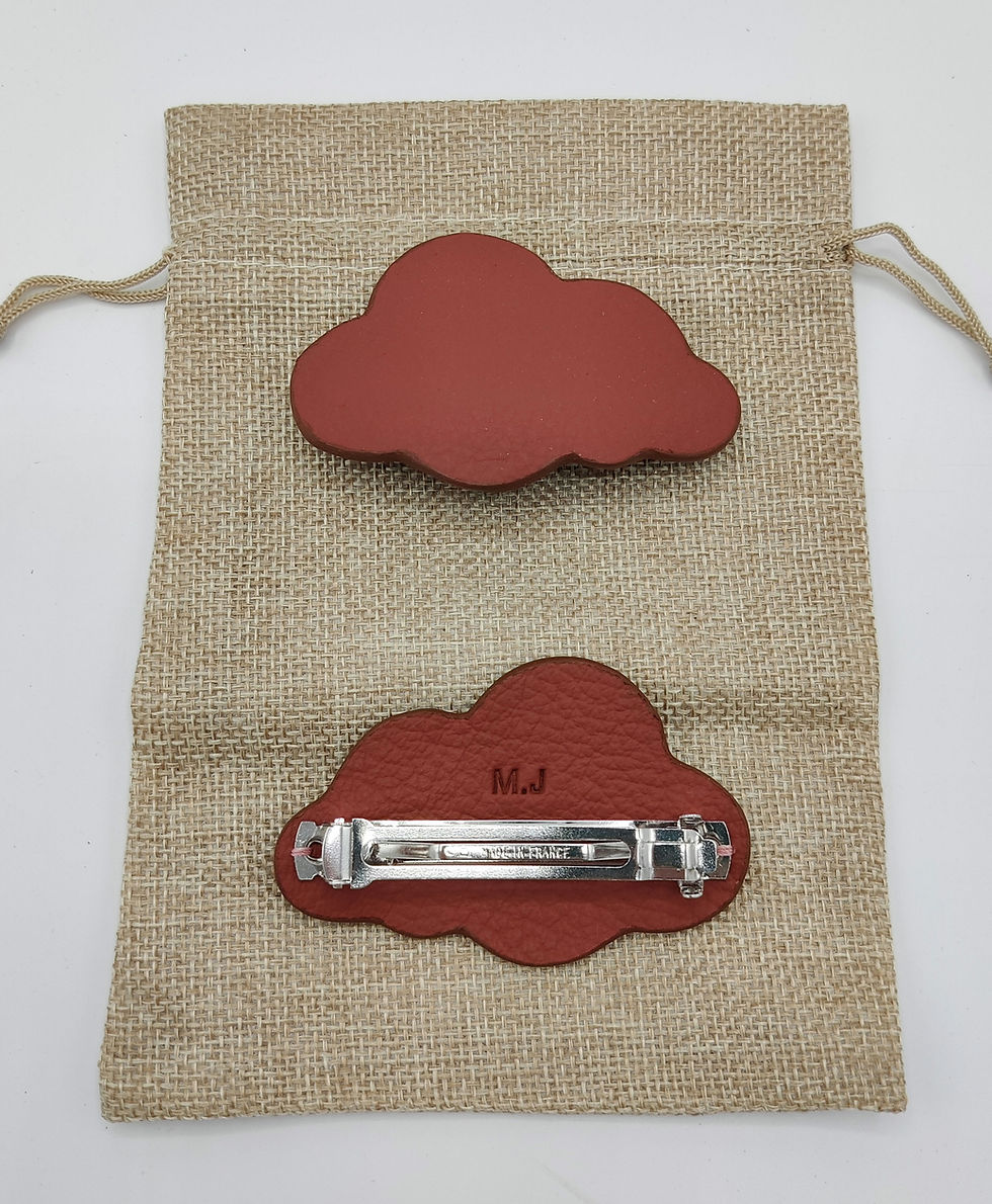 Miniature : Barrettes femme 