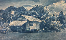 LeafHouse _AndyNguyen.JPG