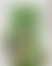 Notre bien aimé : Gandalf