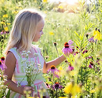 gratuit enfant moins douze ans jardin de bonnegoutte