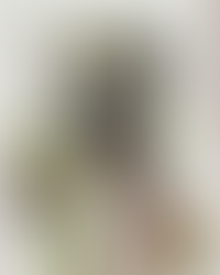 On vous présente : Pisco