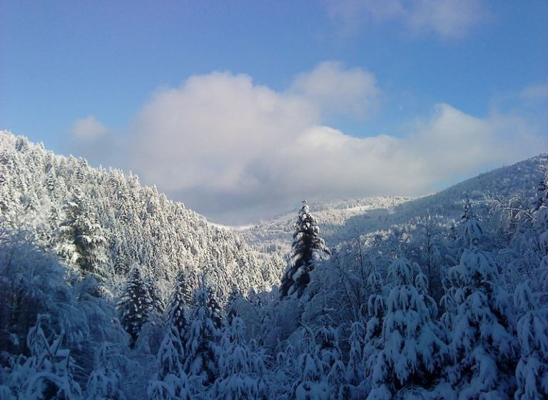 En Hiver