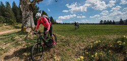 Le VTT dans les Vosges