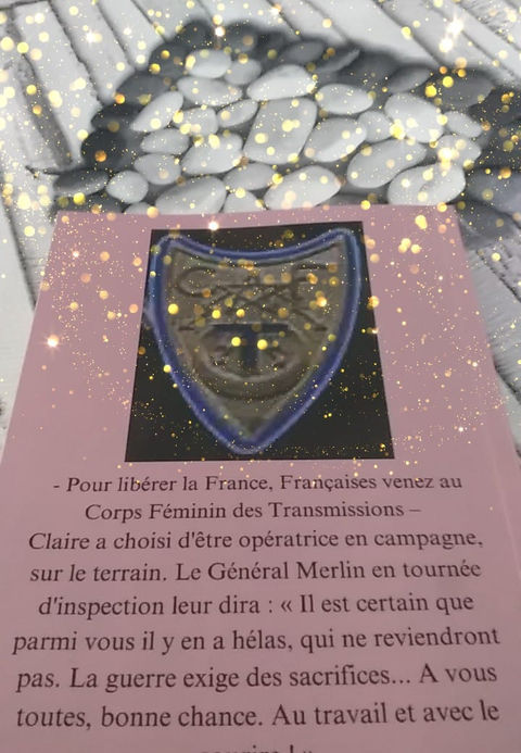 Un roman historique basé sur des faits réels et dont le fil conducteur est l'engagement sur le terrain d'une jeune MERLINETTE du régiment des Transmissions en 1943  sous l'autorité du Général Merlin durant la 2ième guerre mondiale : Clairette AKOUN, son parcours militaire , ses campagnes en Tunisie, en Italie, le débarquement en Provence et la traversée de la France jusqu'en Allemagne sous les ordres du Maréchal De Lattre de Tassigny jusqu'à la victoire et leur retour dans leurs foyers.
Je me devais de raconter leur histoire pour ne pas les oublier Honneurs aux MERLINETTES 
Une mémoire injustement oubliée que je me devais d'écrire pour rendre hommages à ces jeunes femmes dont certaines sont mortes au combat et dont la mémoire est à ce jour injustement oubliée 
