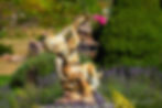 Jardin de Bonnegoutte, Cornimont, Vosges
