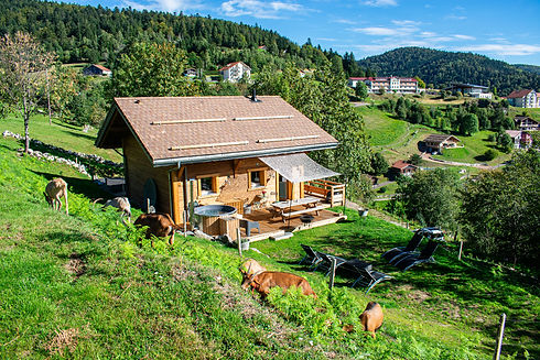 chalet esprit montagnard, tout confort, hot tube, barbecue, plusieurs chambres, balcon, te