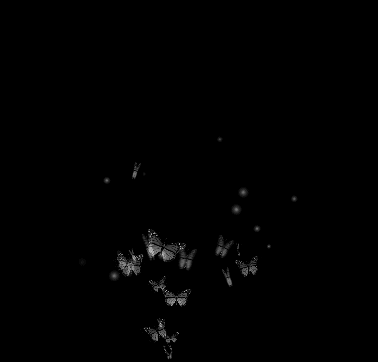 giphy butterflies.gif