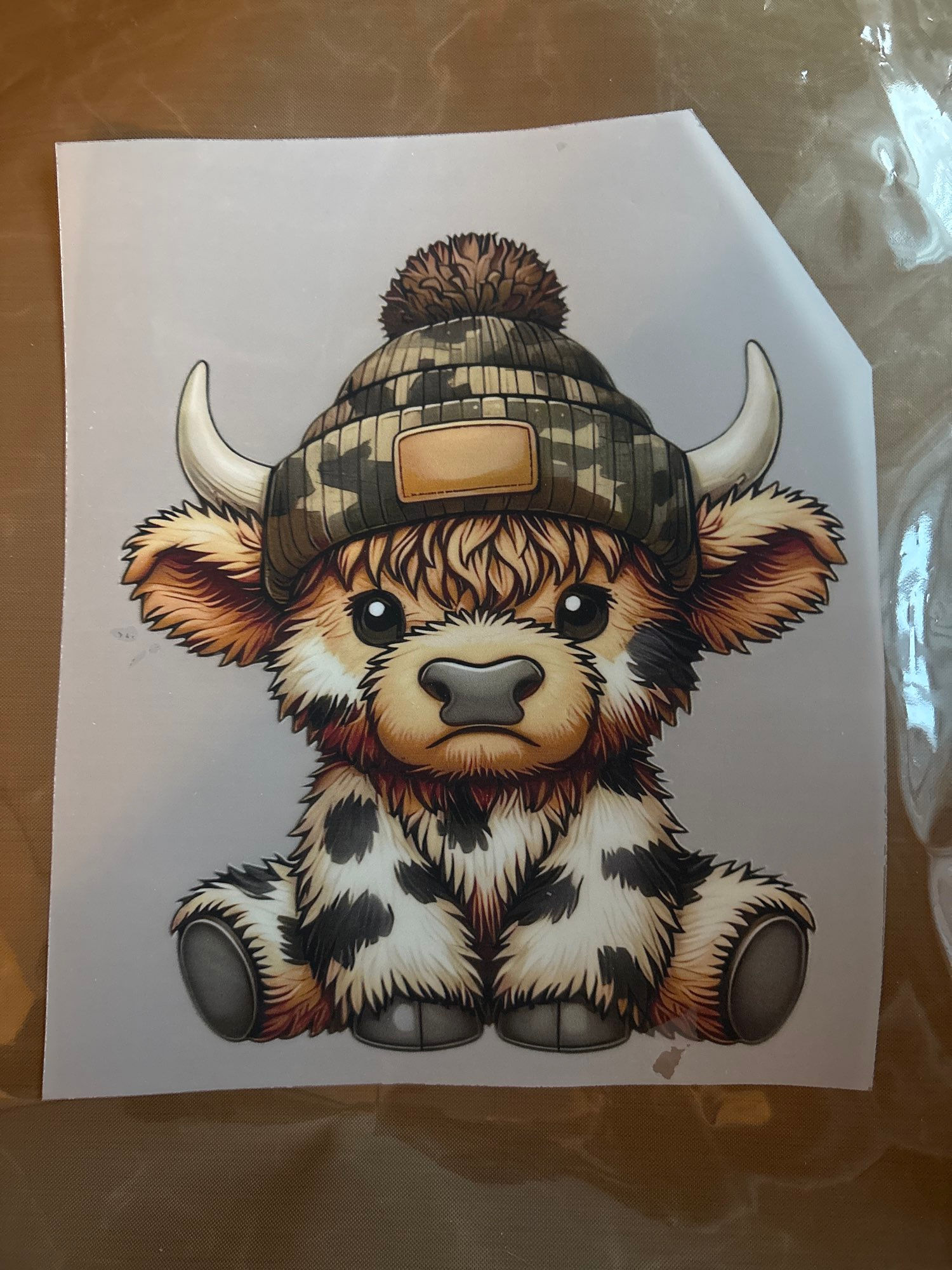 Cute highland cow 